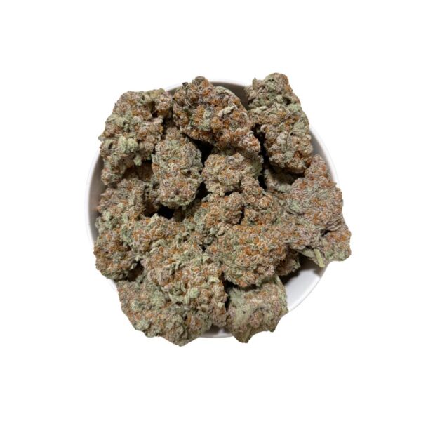 The G Pooch (RARE AAAA+)