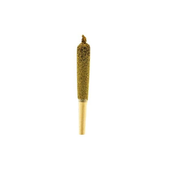 10 x Kief Infused Dog Walker AAAA 0.5g Pre-Rolls