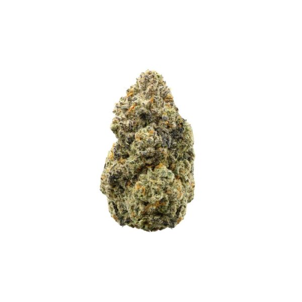 Jungle MAC (AAA+)