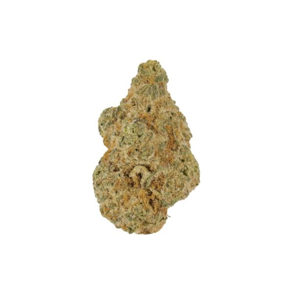 Fudgie (AAA+)