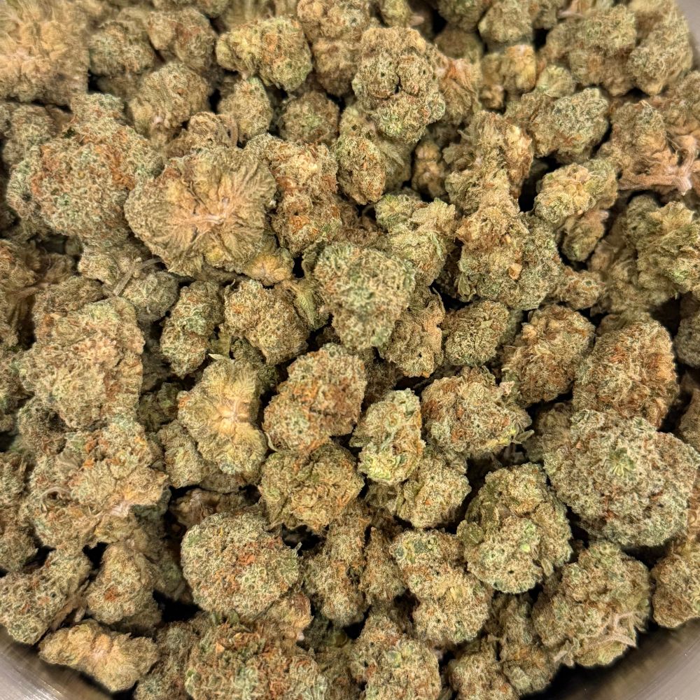 Fuji Fritter (AAA+) - Image 2