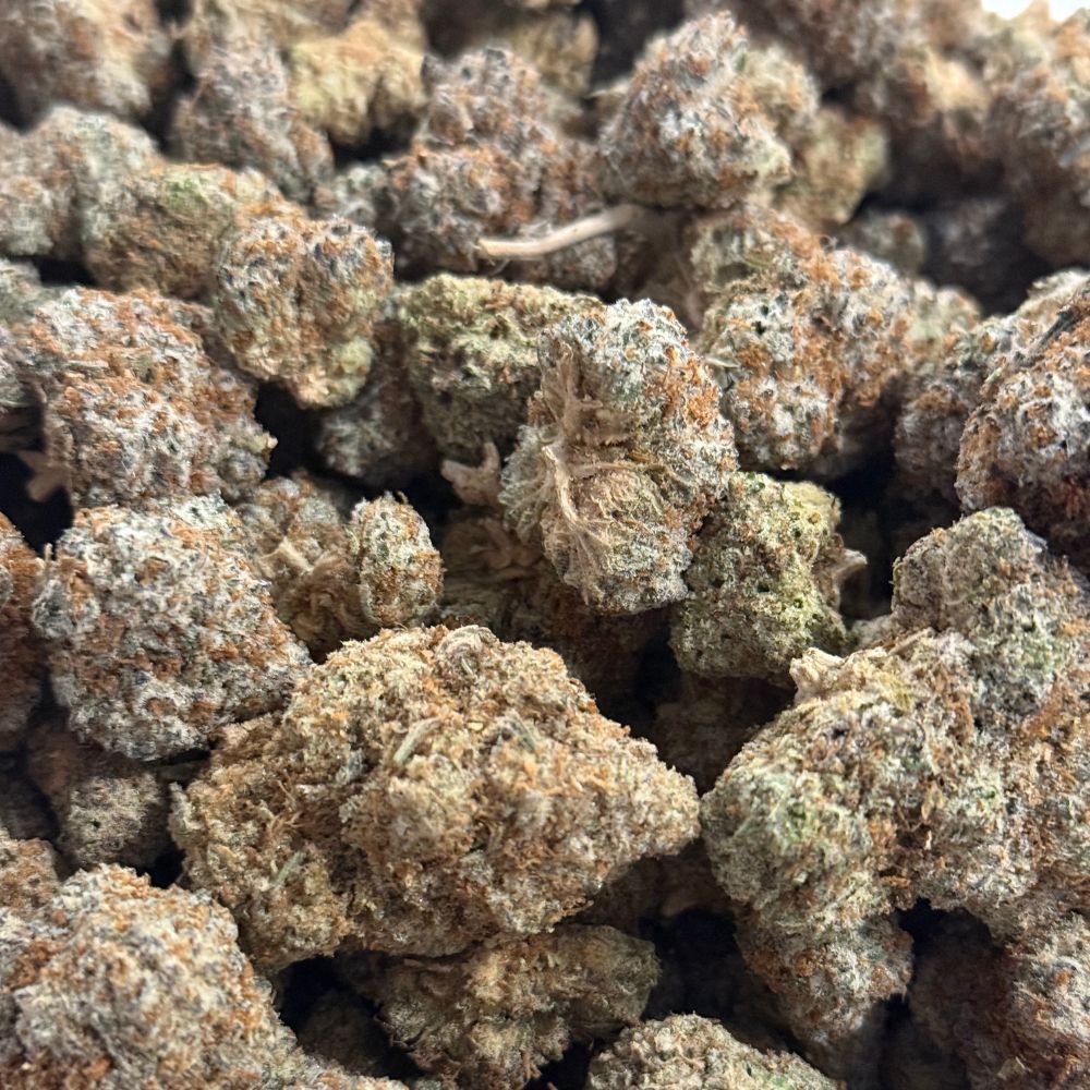 Candy Glue (AAAA) - Image 3