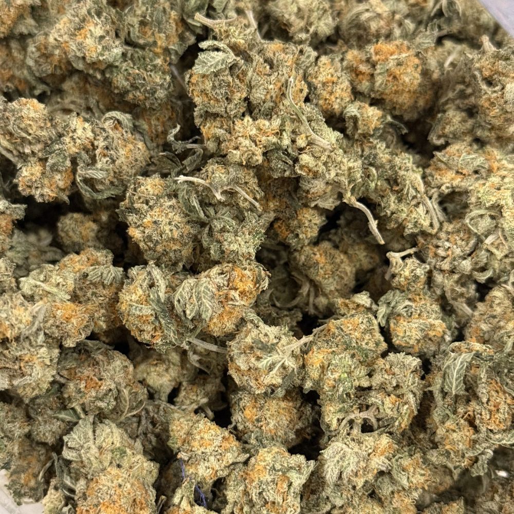 White Tahoe Cookies Smalls (AA++) - Image 2